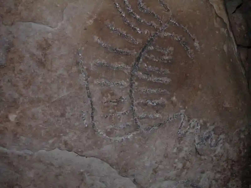 A centipede-like and wavy symbol on a stone in the grave of Jeremiah A centipede-like and wavy symbol on a stone in the grave of Jeremiah
